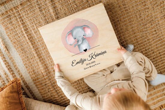 Atmiņu kaste ar ziloni